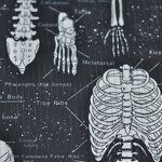 Nurse Cap Manufacturer - Hospital Doctor Hat Cotton Unisex Custom