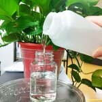 Sodium Lauroyl Glutamate Supplier - INCI Name