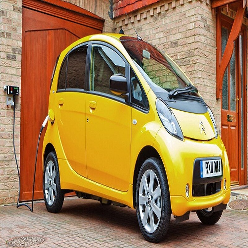 Electric Vehicle Supplier - BRAND NEW PICKUP Passenger 4 Seats