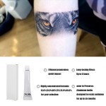 批发定制化妆师用品材料Para Tatuajes 79.9%纹身霜永久化妆用品