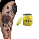 Brand New Product Tattoo Equipment and Supplies 29.9% Tattoo Cream Pigment with High Retention and Longevity Semi-pmu
