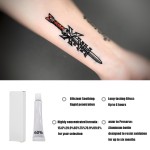 定制的新产品纹身套件和供应60%的纹身霜颜料与高保留和长寿颜料墨水