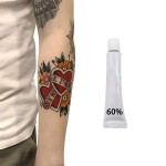 定制的新产品纹身套件和供应60%的纹身霜颜料与高保留和长寿颜料墨水