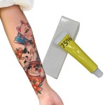 Professional Service Tattoo Aftercare Products Makeup Supplies 75% Tattoo Cream Ink Pmu Pigment for Eyebrow Micropigmentation