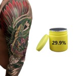 Brand New Product Tattoo Equipment and Supplies 29.9% Tattoo Cream Pigment with High Retention and Longevity Semi-pmu