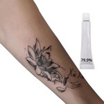 批发定制化妆师用品材料Para Tatuajes 79.9%纹身霜永久化妆用品