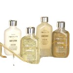 Soap Dispenser Supplier - Wholesale STX Single Wall Mount Hotel