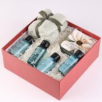 Hotel Shampoo Set Manufacturer - Customized logo High-end Gift Box