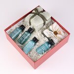 Hotel Shampoo Set Manufacturer - Customized logo High-end Gift Box