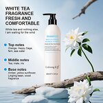 Shower Gel Kit Supplier - White Tea Scented Lockable Wall-Mount