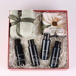 Hotel Shampoo Set Manufacturer - Customized logo High-end Gift Box