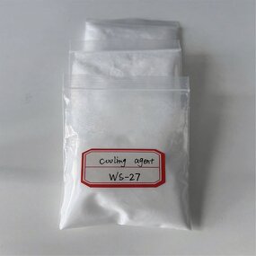 Food Grade Cooling Agent Powder Manufacturer - WS-27 for Candies Beverages