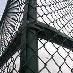 Sports Facility Fence Manufacturer - Durable Mesh Barrier for Basketball Courts