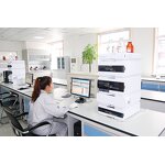 Gluconolactone Powder Supplier - GDL Food Additive Powder