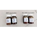 Soy Lecithin Supplier - Non-GMO Food Additives Bulk