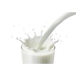 SBR Latex Supplier - Wholesale Carboxylic Butadiene Styrene