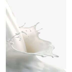 Artificial Grass SBR Latex Supplier - Milky White Liquid Carboxylic