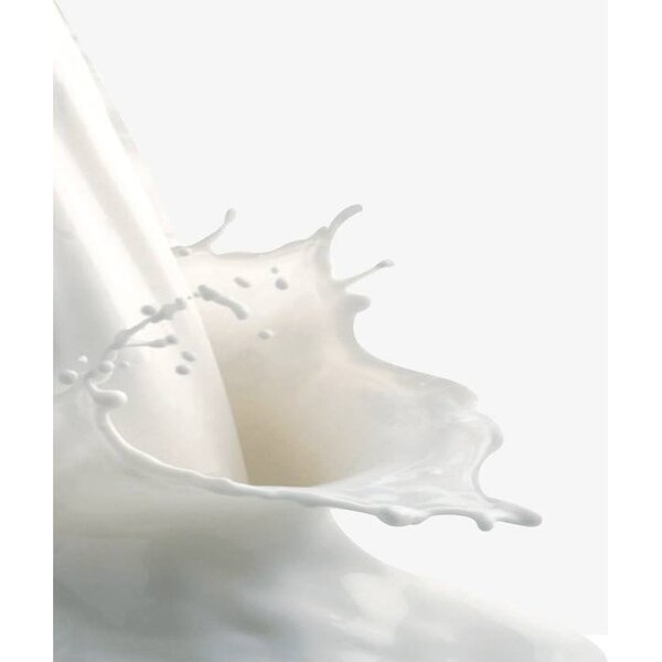 Artificial Grass SBR Latex Supplier - Milky White Liquid Carboxylic