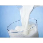 SBR Latex Supplier - Wholesale Carboxylic Butadiene Styrene