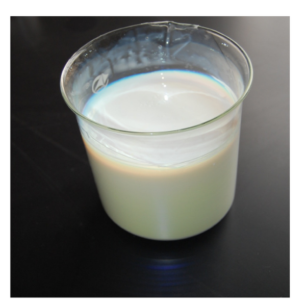 Silicon Dioxide Emulsion Manufacturer - EN20 for Stone Texture Paint