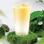 Oolong Tea Manufacturer - Camellia Flavored Loose Tea Leaf