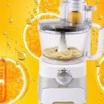 Fruit Slicer Supplier - Blantel Blt-300 Automatic Electric