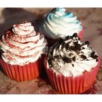 Biscuit Crumb Manufacturer - Baking Decorative Cocoa Multi-Taste