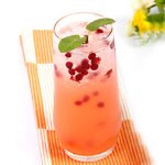 Grapefruit Juice Manufacturer - Popular Concentrated 3 Kg Bottle