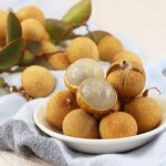 Longan Honey Flavor Juice Supplier - Concentrated Taiwan Bubble Tea