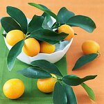 Kumquat Juice Supplier - 2L Bottle Flavored Concentrated