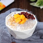 Tapioca Pearl Supplier - Ceeds Wang White Sago 500g Bag