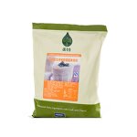 Blueberry Cheese Milkshake Powder Manufacturer - Dessert Shop Uses