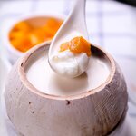 Coconut Milk Supplier - Vico Fresh for Bubble Tea Ingredients