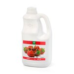 Strawberry Pulp Supplier - Concentrated Juice Jam Strawberry Puree