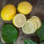 Lemon Juice Manufacturer - High Quality 9 Times Ratio Concentrated