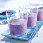 Blueberry Juice Manufacturer - Concentrated 840ml Bottle