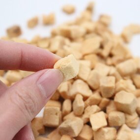 Freeze Dried Salmon Cubes Manufacturer - High Quality Pet Food and Treats