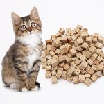 Freeze Dried Cat Food Supplier - Natural Formula for Skin Care Nutrition