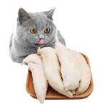 Freeze Dried Cat Food Supplier - Natural Formula for Skin Care Nutrition