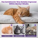 Cat Calming Starter Kit Supplier - Natural 30 Days Enhanced