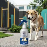 Pet Odor Spray Manufacturer - Top-Rated Eco-Friendly Antibacterial
