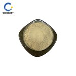 Fucoxanthin Manufacturer - CAS 3351-86-8 Factory Supply Powder