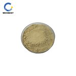ISOQUERCITRIN Supplier - CAS 482-35-9 Manufacturer Supply Powder