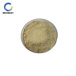 ISOQUERCITRIN Supplier - CAS 482-35-9 Manufacturer Supply Powder