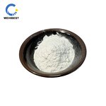 AMBERLITE XAD-16 Supplier - Reliable Brand Cas 104219-63-8