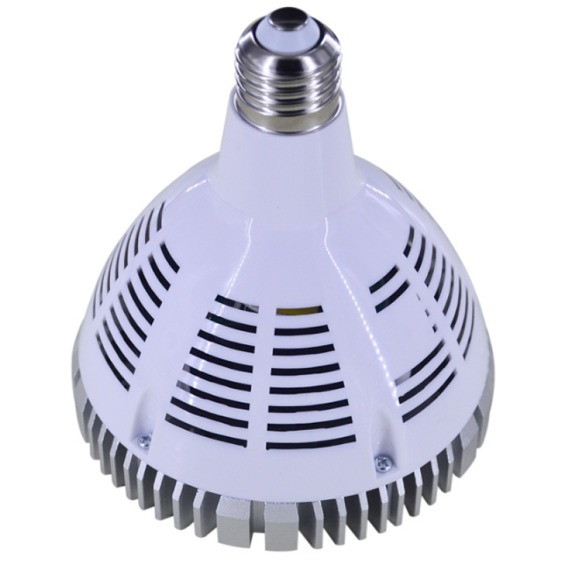 High Quality Red Light Therapy Lamp 660nm 850nm Near Infrared Combo Bulb Red Light Therapy Device for Body