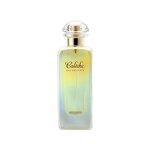 Unisex Perfume Supplier - Long-Lasting Light Fragrance Floral