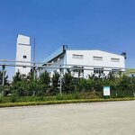 2-Allyloxyethanol Supplier - CAS 111-45-5