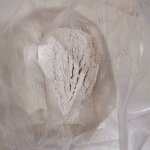 Tropolone Supplier - 533-75-5 2-Hydroxy-2.4.6-cycloheptatrien-1-one