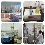 Trimethylacetic Anhydride Supplier - High Quality CAS